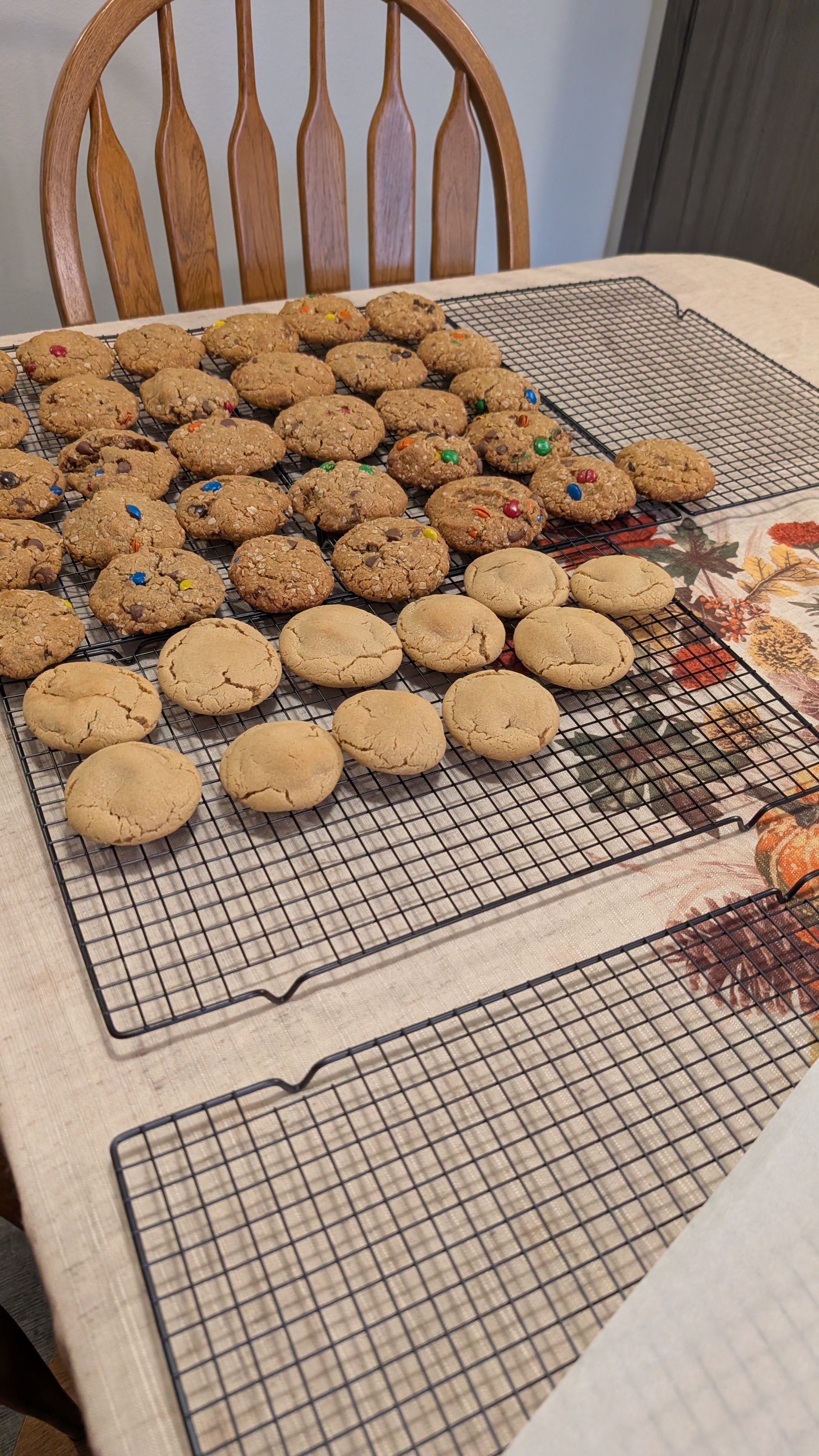 Variety pack - 1 dozen